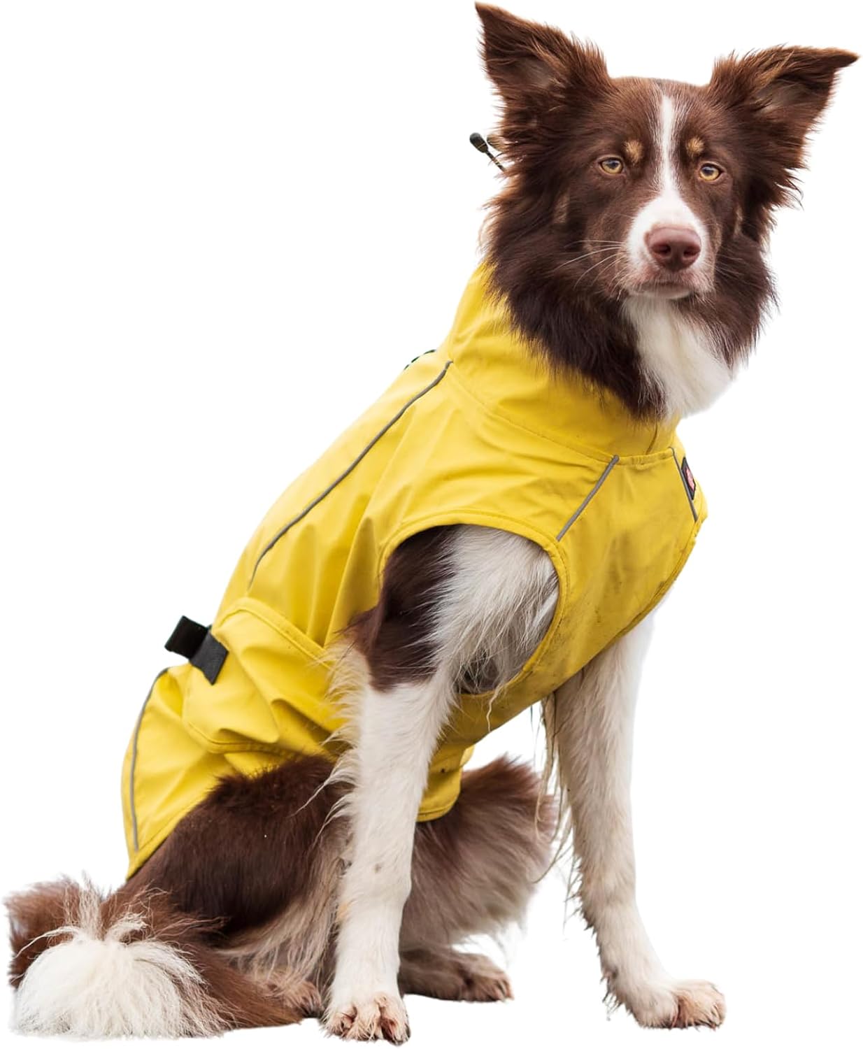 Trixie Vimy Raincoat