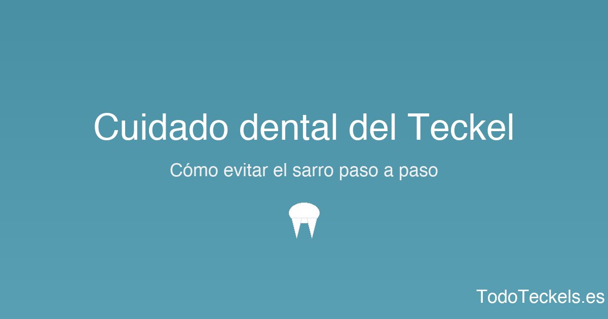 Teckel con cepillo y pasta dental enzimática para prevenir el sarro